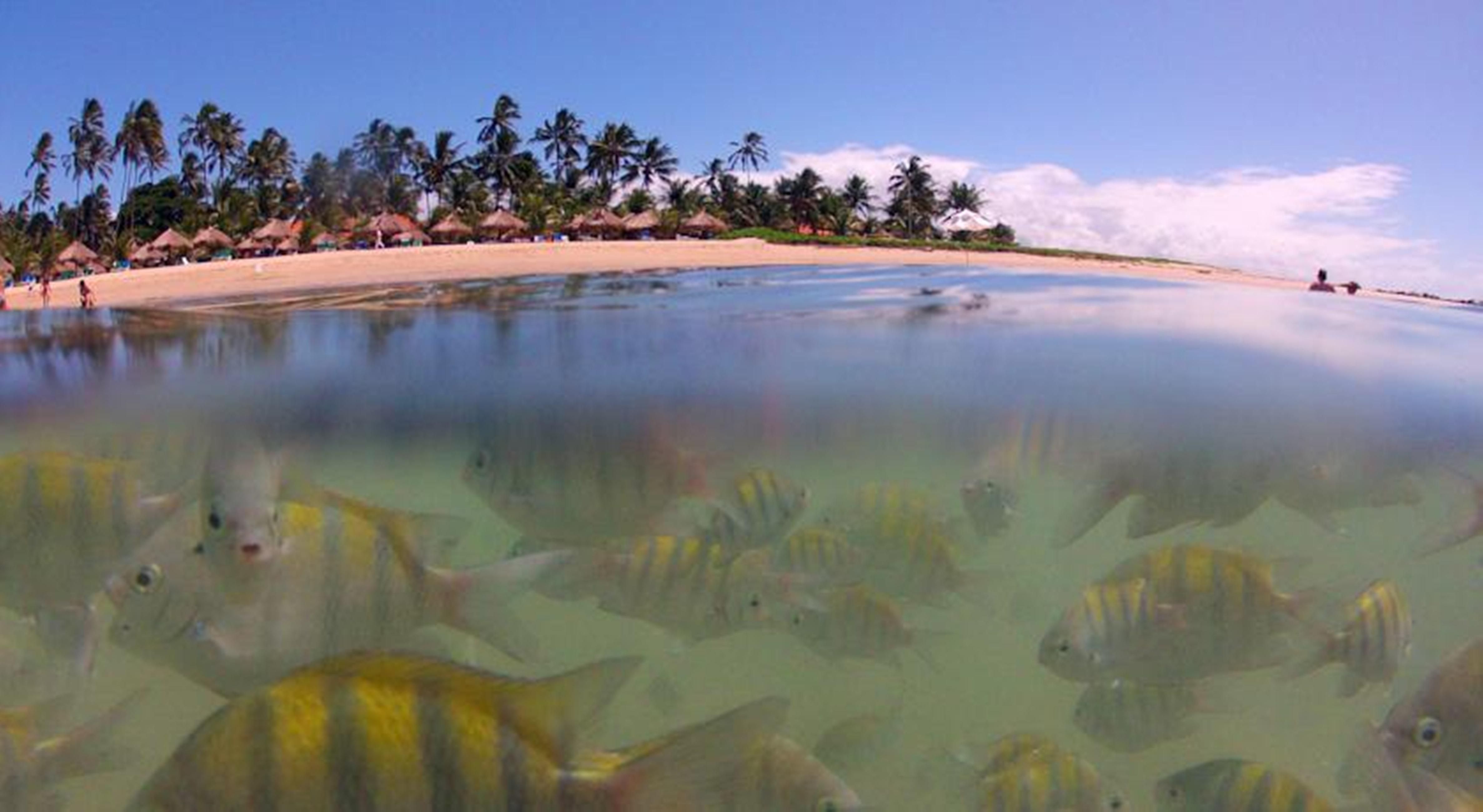 Serrambi Resort Pôrto das Galinhas Fasiliteter bilde