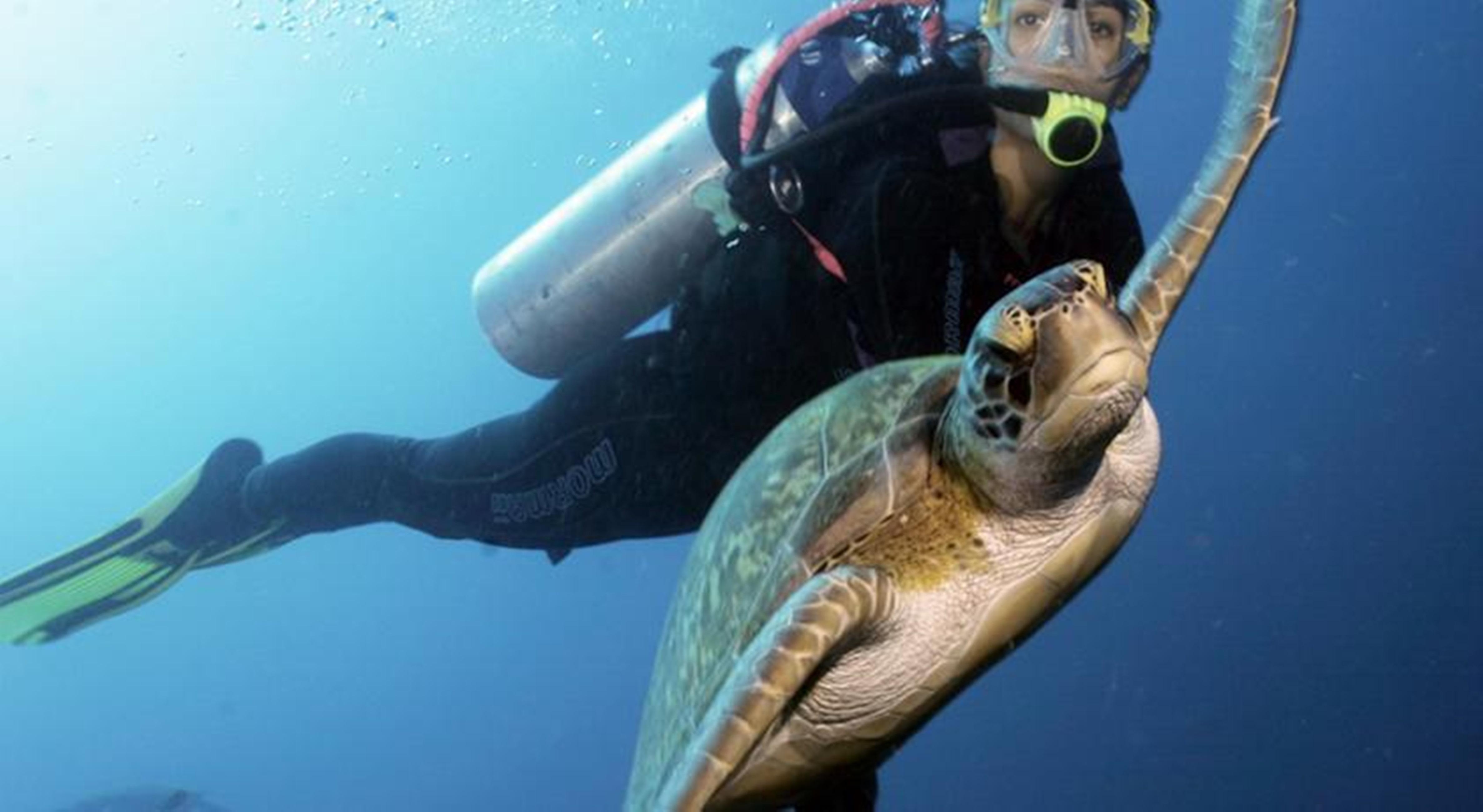 Serrambi Resort Pôrto das Galinhas Eksteriør bilde